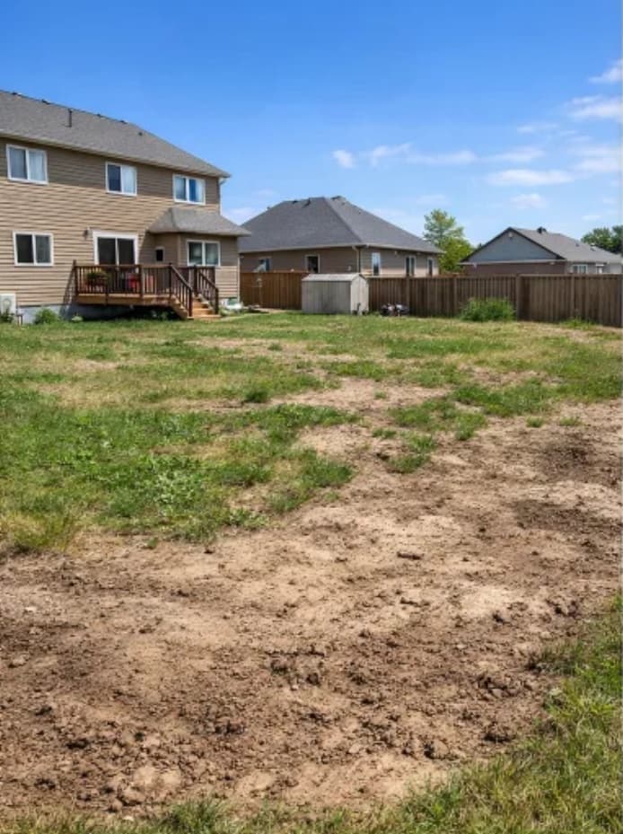 Thin, patchy lawn before renewal