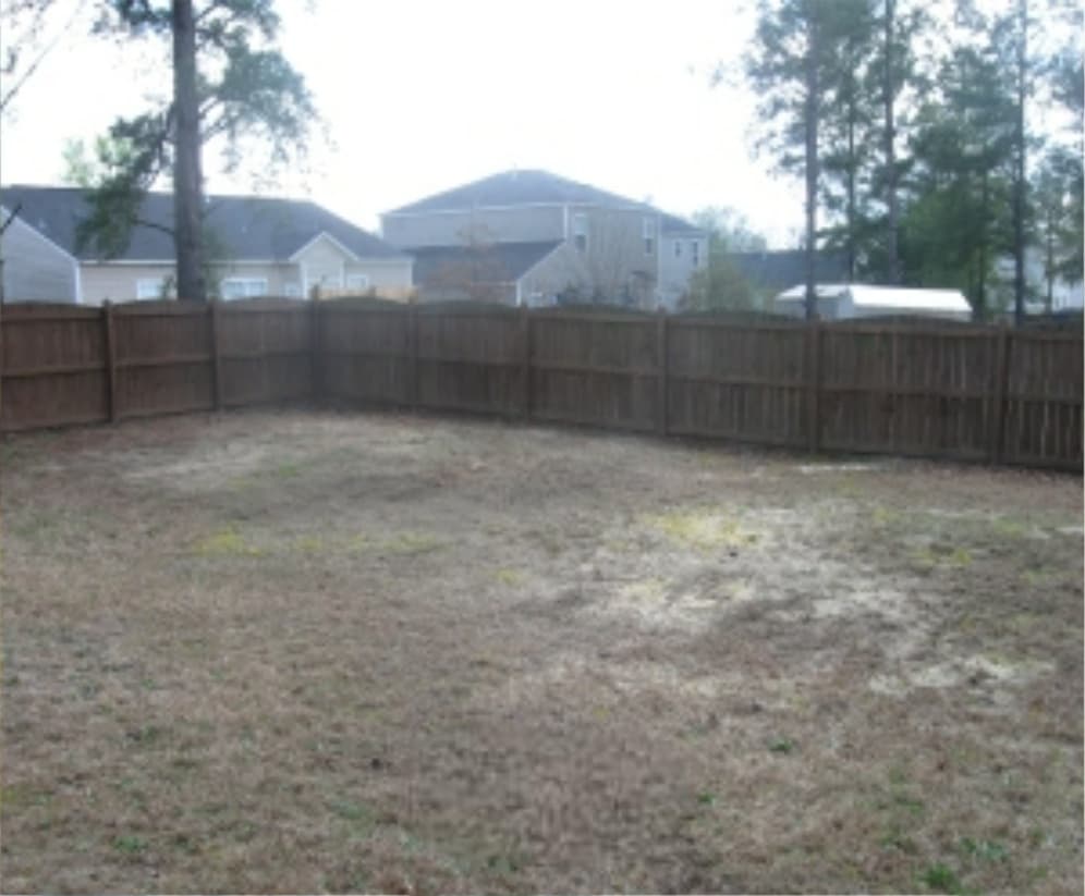 Cleared backyard after tree removal — stump and debris fully cleaned up